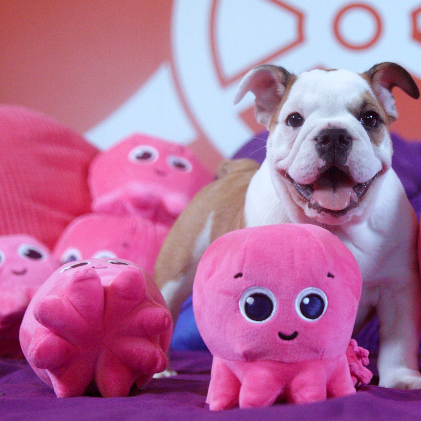 コンスタンティンペットトイ